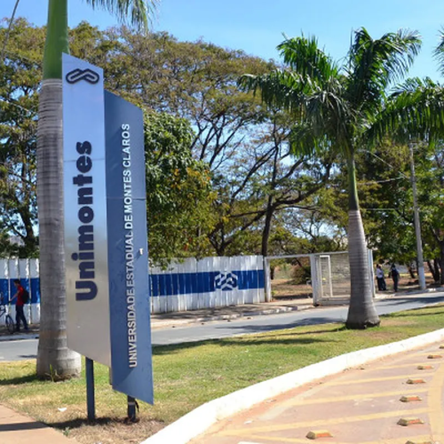 unimontes unimontes